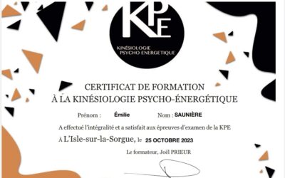 Définition d’un kinésiologue par Emilie Saunière (Toulouse)