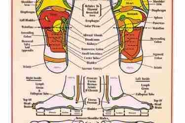 Qu’est-ce que la réflexologie plantaire ?