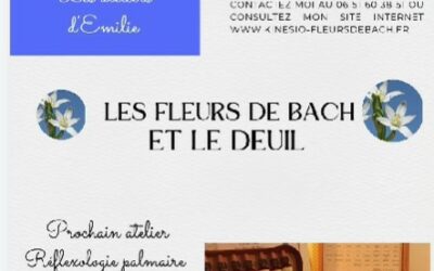 Les fleurs de Bach peuvent vous aider et vous soutenir dans cette période difficile.