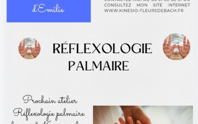 La Réflexologie Palmaire : Le Bien-Être à Portée de Main