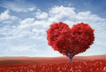 Retrouver confiance en soi et en l’amour après un traumatisme grâce à la kinésiologie