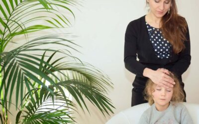 Quels sont les 3 sphères d’intervention du kinésiologue ?